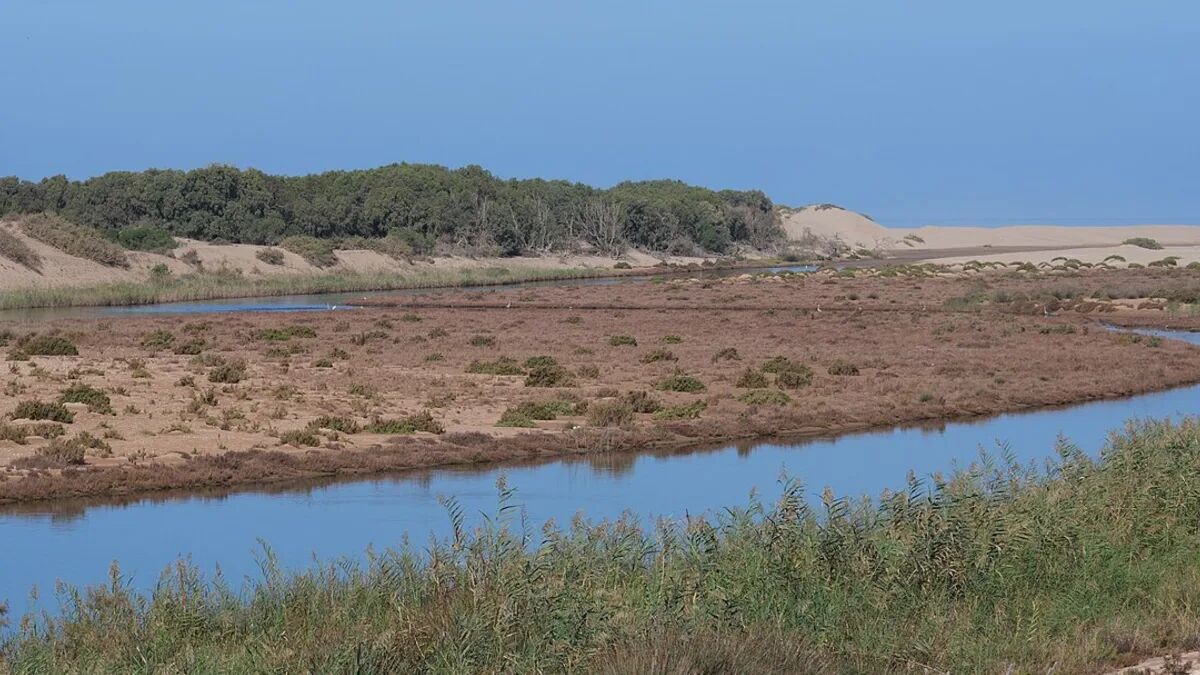 The mouth of the Massa river in Souss-Massa National Park